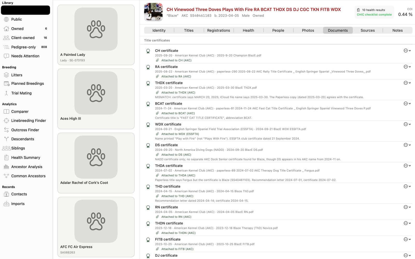 The Documents tab.