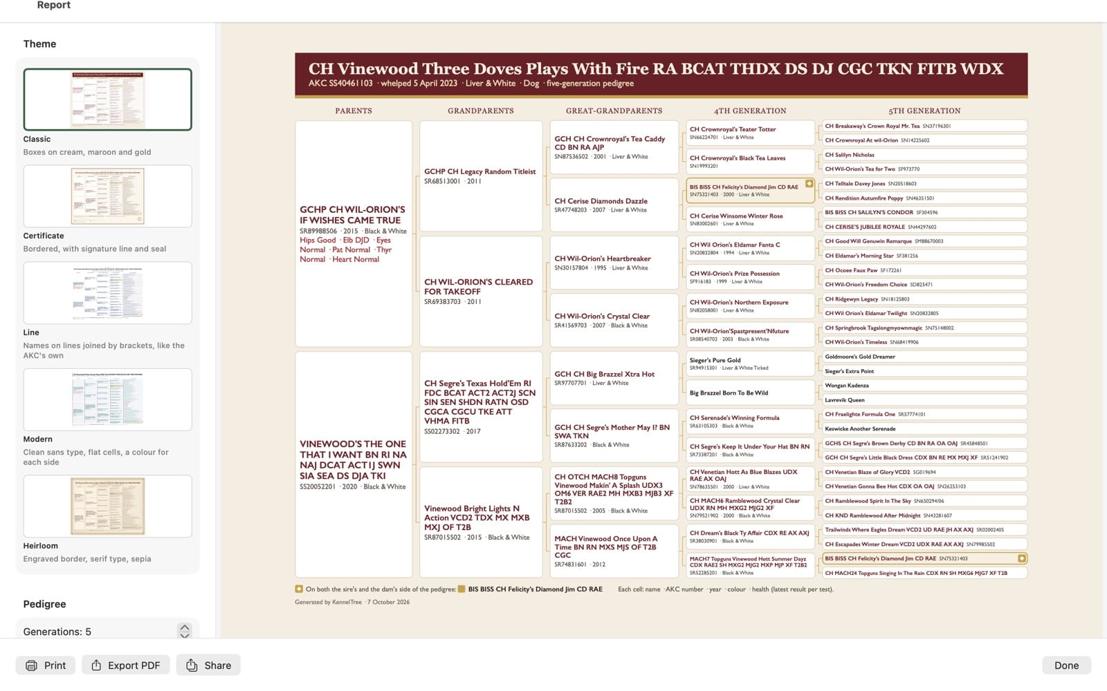 The report themes.