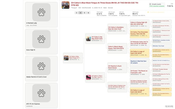A four-generation pedigree in KennelTree